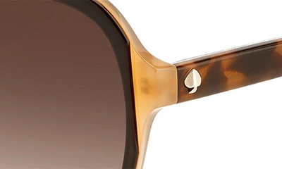 Shop Kate Spade 59mm Tamera Round Sunglasses In Havana/ Brown Gradient