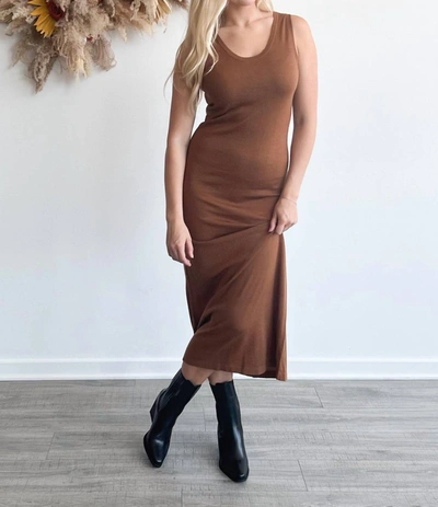Shop Sophie Rue Silk Blend Sweater Dress In Cinnamon In Brown