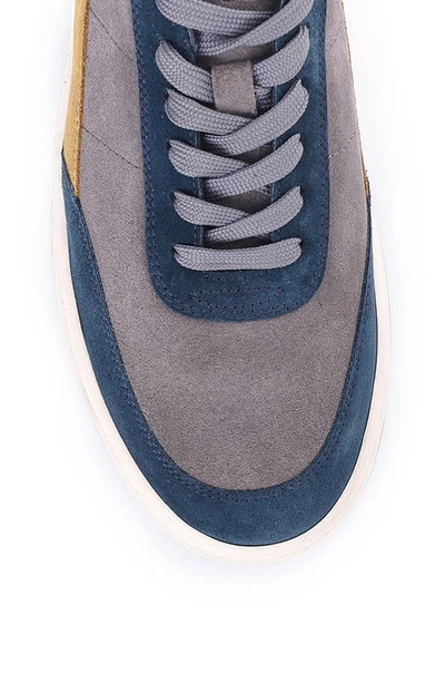 Shop Vellapais Trento Low Top Sneaker In Grey