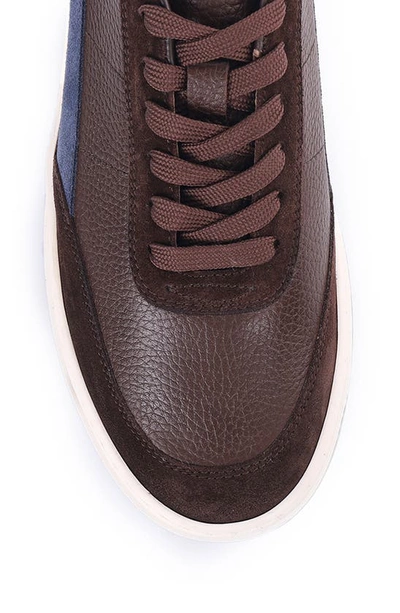 Shop Vellapais Trento Low Top Sneaker In Dark Brown