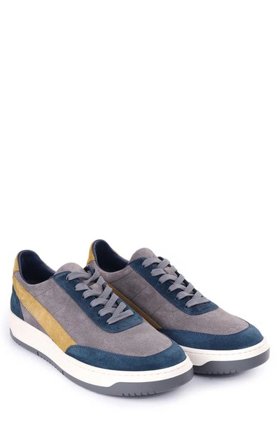 Shop Vellapais Trento Low Top Sneaker In Grey