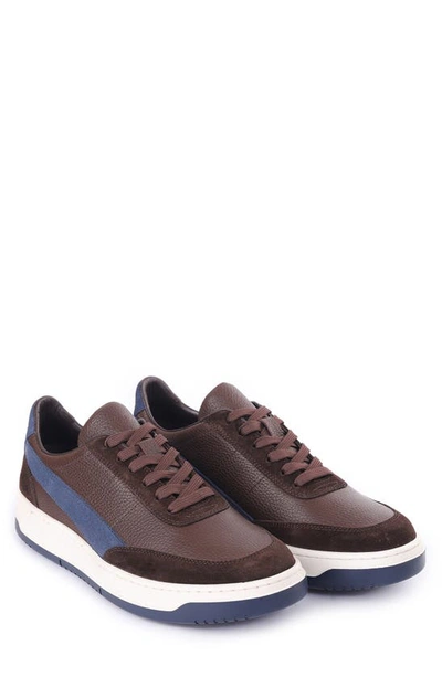 Shop Vellapais Trento Low Top Sneaker In Dark Brown