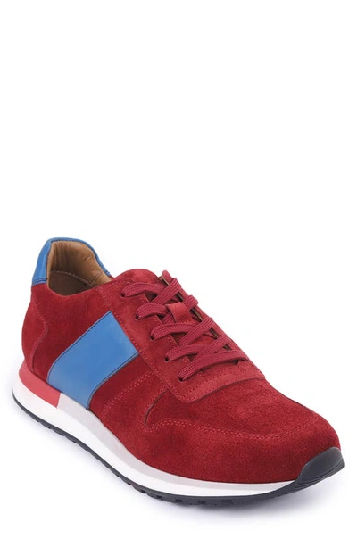 Shop Vellapais Cornata Low Top Sneaker In Dark Red