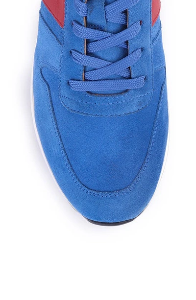 Shop Vellapais Cornata Low Top Sneaker In Light Blue