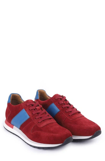 Shop Vellapais Cornata Low Top Sneaker In Dark Red
