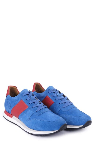 Shop Vellapais Cornata Low Top Sneaker In Light Blue