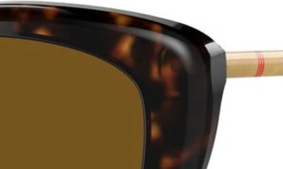Shop Burberry 54mm Polarized Cat Eye Sunglasses In Dark Havana