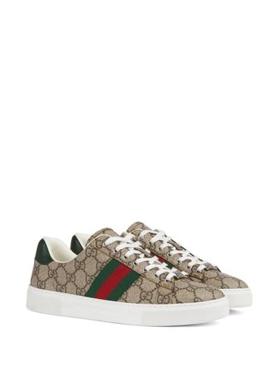 Shop Gucci Ace Gg Supreme Sneakers In Brown