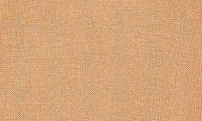 Halogen Crewneck Rib Sweater Top In Pecan