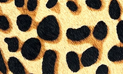 Shop Yosi Samra Preslie Calf Hair Loafer In Black/ Leopard
