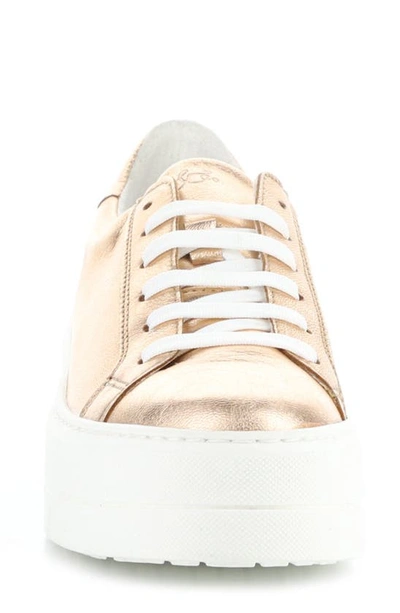 Bos. & Co. Maya Platform Sneaker In Sabbia