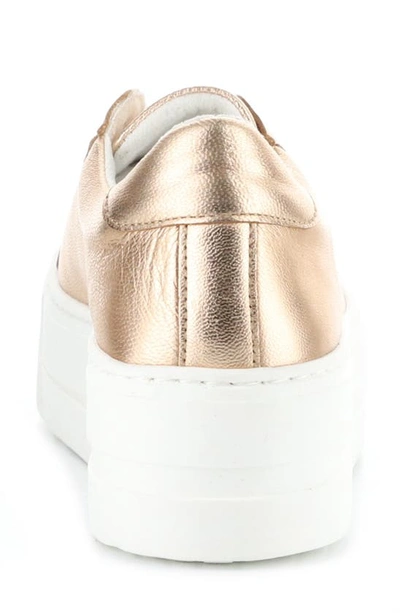 Bos. & Co. Maya Platform Sneaker In Sabbia