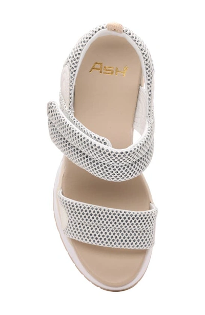 Ash Cosmos Wedge Sandal In Eggnog