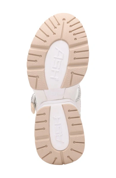 Shop Ash Cosmos Wedge Sandal In Eggnog