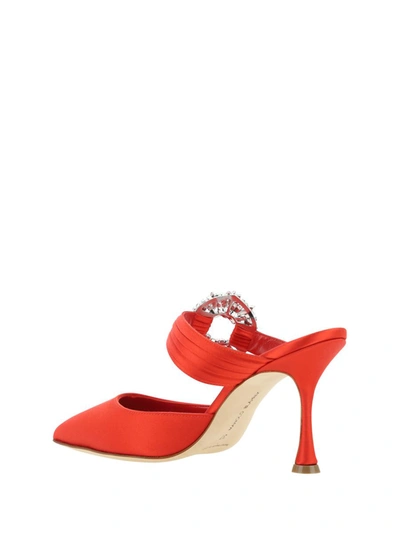 Shop Manolo Blahnik Pumps In Bred