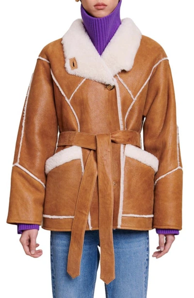 Shop Maje Belted Genuine Shearling Jacket In Camel