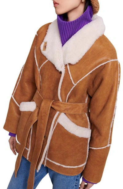 Shop Maje Belted Genuine Shearling Jacket In Camel