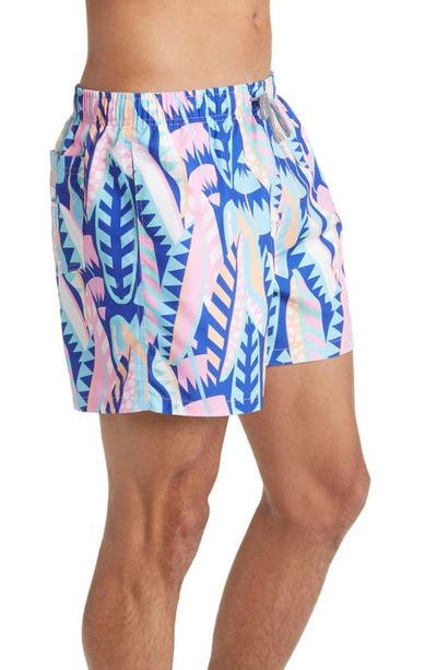 Boardies On Board Swim Trunks In Blue Multi