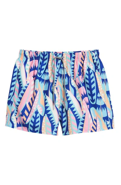 Boardies On Board Swim Trunks In Blue Multi