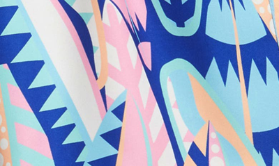 Boardies On Board Swim Trunks In Blue Multi