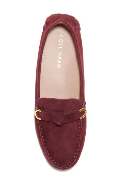 Shop Cole Haan Evelyn Bow Leather Loafer In Bloodstone