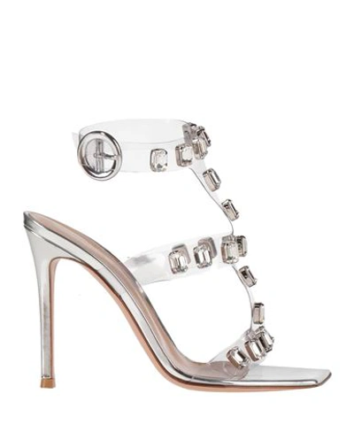 Shop Gianvito Rossi Woman Sandals Transparent Size 7 Rubber, Soft Leather