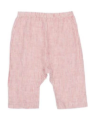 Shop Olive By Sisco Newborn Boy Pants Red Size 3 Linen