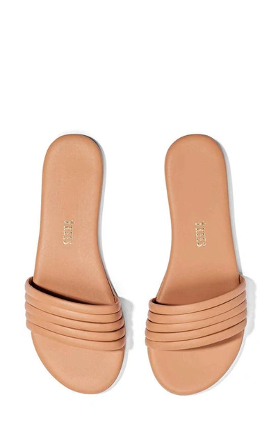 Shop Tkees Serena Slide Sandal In Tan