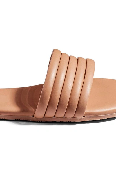 Shop Tkees Serena Slide Sandal In Tan