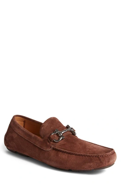 Shop Ferragamo Parigi Bit Driving Loafer In Cocoa Brown New Biscotto