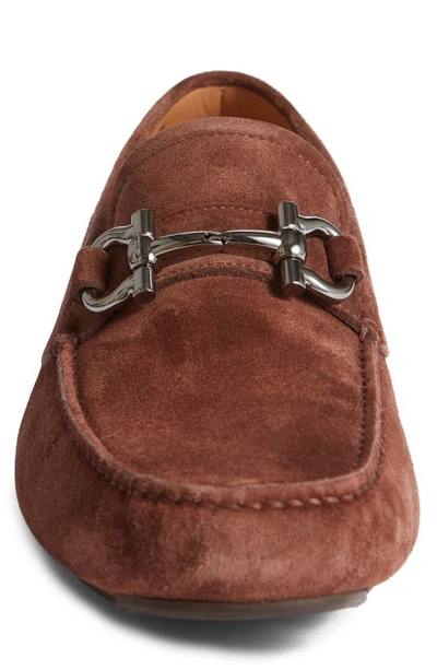 Ferragamo Parigi Suede Loafers In Cocoa Brown New Biscotto