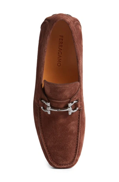 Shop Ferragamo Parigi Bit Driving Loafer In Cocoa Brown New Biscotto