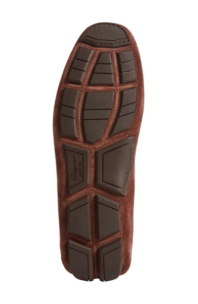 Ferragamo Parigi Suede Loafers In Cocoa Brown New Biscotto
