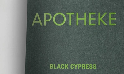 Shop Apotheke Black Cypress Holiday Candle