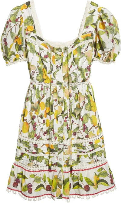 Shop Farm Rio Fruit Orchard Puff Sleeve Mini Dress In Multi