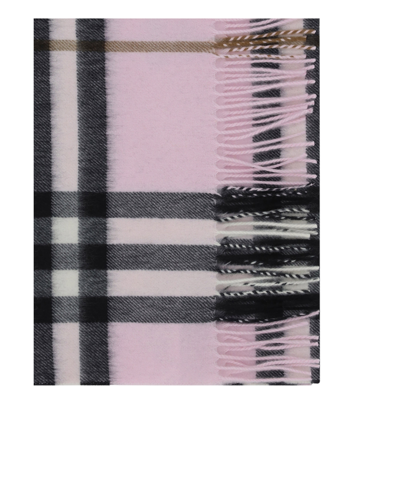 Shop Burberry Cashmere Scarf In Pink