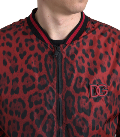 Pre-owned Dolce & Gabbana Jacket Red Leopard Bomber Short Coat S. It44 /us34/xs Rrp $1800