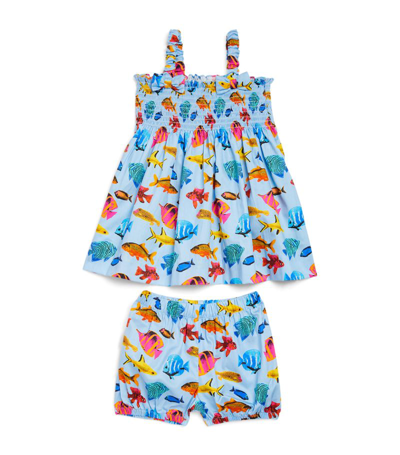 Shop Rachel Riley Tropical Fish Dress And Bloomers Set (12 Months) In Multi