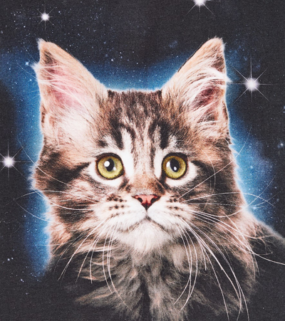 Molo Ragnhilde Cat-print T-shirt In Multicoloured