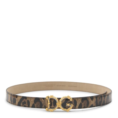 Shop Dolce & Gabbana Belts In Leo