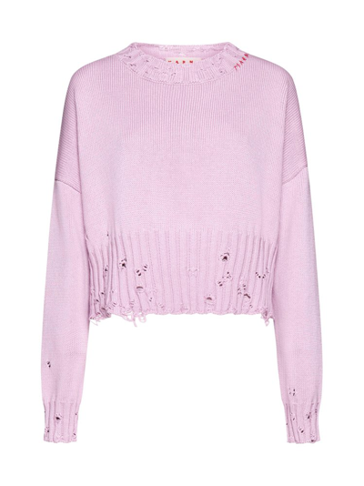 Shop Marni Distressed Cropped Knitted Jumper In Pink