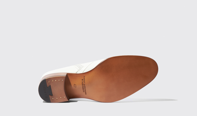 Scarosso Warren Chelsea Boots In White - Calf