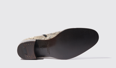 Scarosso Warren Zipped Chelsea Boots In Beige - Python-printed Calf