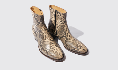 Scarosso Warren Zipped Chelsea Boots In Beige - Python-printed Calf