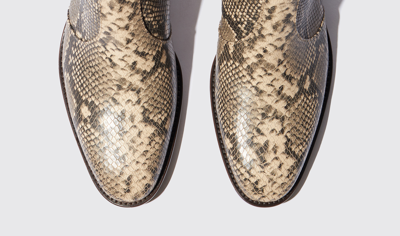 Scarosso Warren Zipped Chelsea Boots In Beige - Python-printed Calf