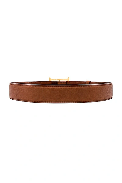 Helsa Logo Contrast Belt In Brown