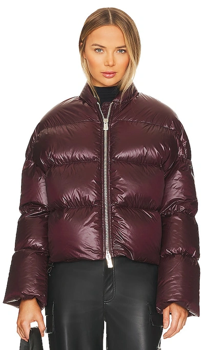 Shop Bacon Storm Fury Puffer In New Brown