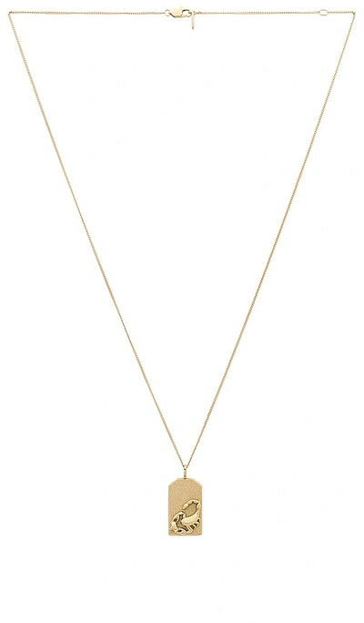 Shop Jenny Bird Zodiac Pendant Necklace In Gold