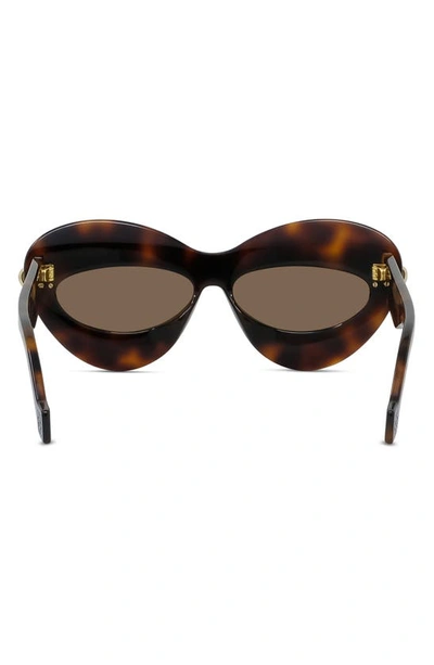 Shop Loewe Double Frame 67mm Oversize Cat Eye Sunglasses In Dark Havana / Brown