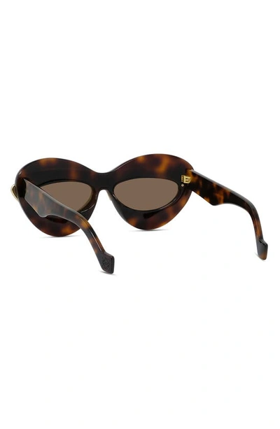 Shop Loewe Double Frame 67mm Oversize Cat Eye Sunglasses In Dark Havana / Brown